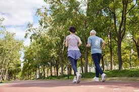 炉石传说职业选手卡组胜率统计